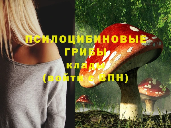 индика Богородицк
