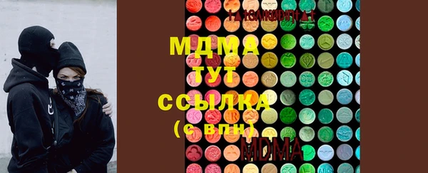 индика Богородицк