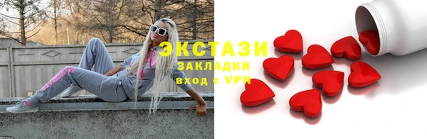 индика Богородицк