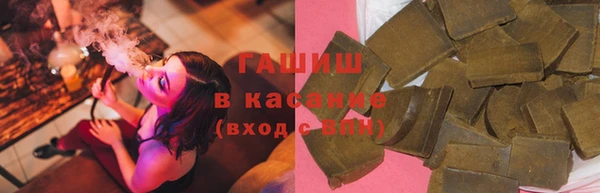 индика Богородицк