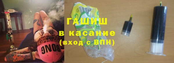индика Богородицк