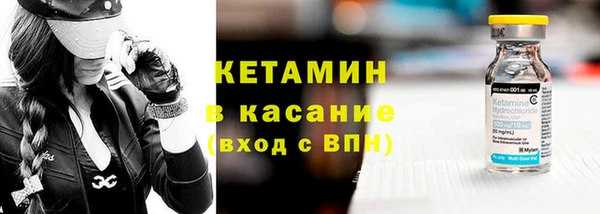 индика Богородицк