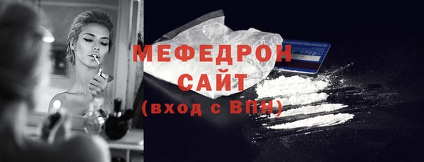 индика Богородицк