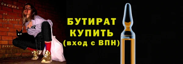 индика Богородицк