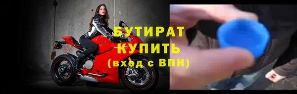 индика Богородицк