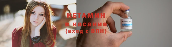 индика Богородицк