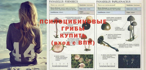 кокс Богданович
