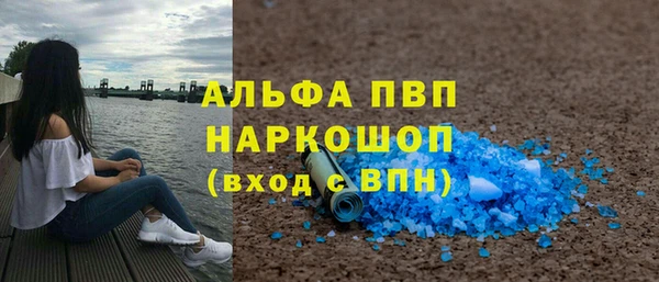 индика Богородицк