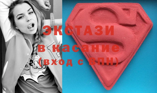 индика Богородицк