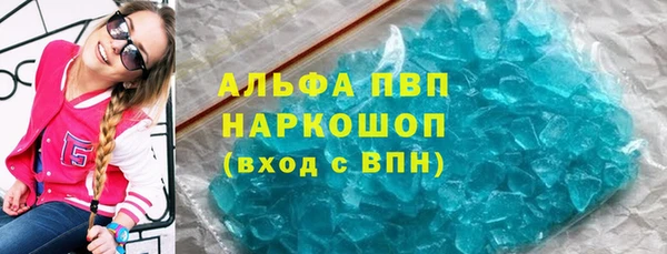 индика Богородицк