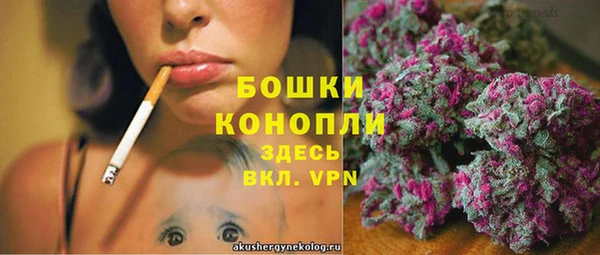 индика Богородицк