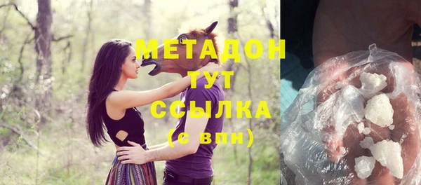 индика Богородицк
