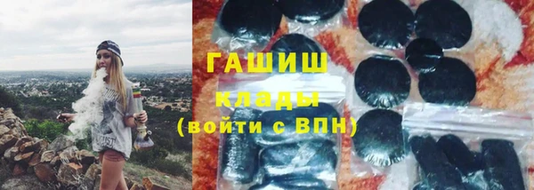 индика Богородицк