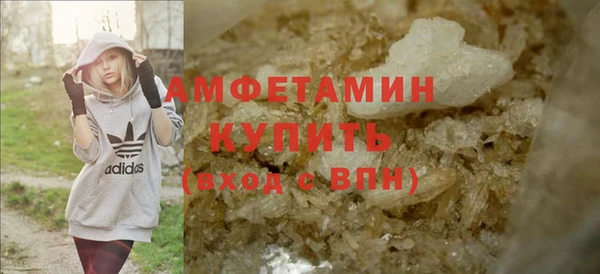 индика Богородицк