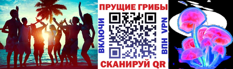 Псилоцибиновые грибы мухоморы  цены   Северская 